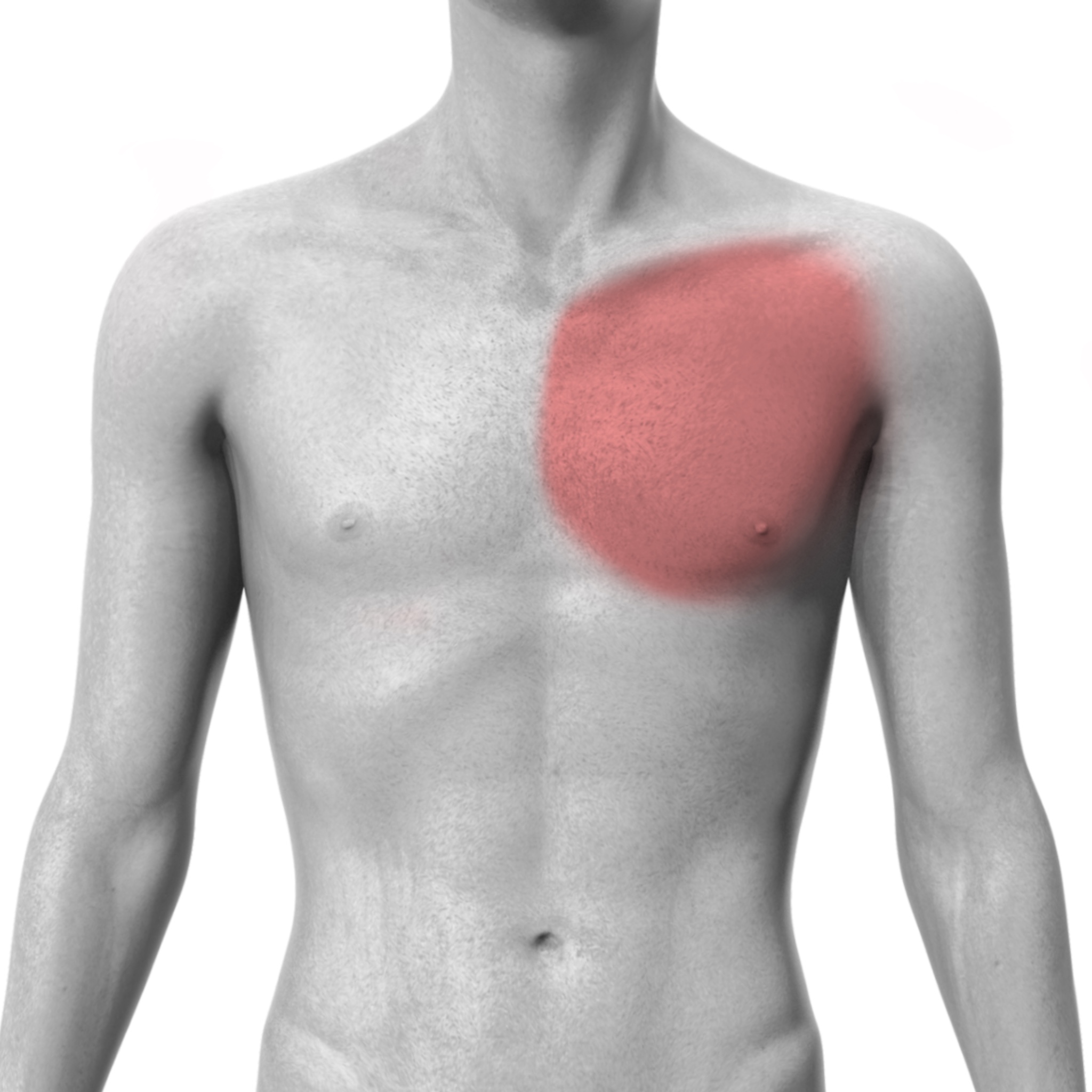 Left Chest