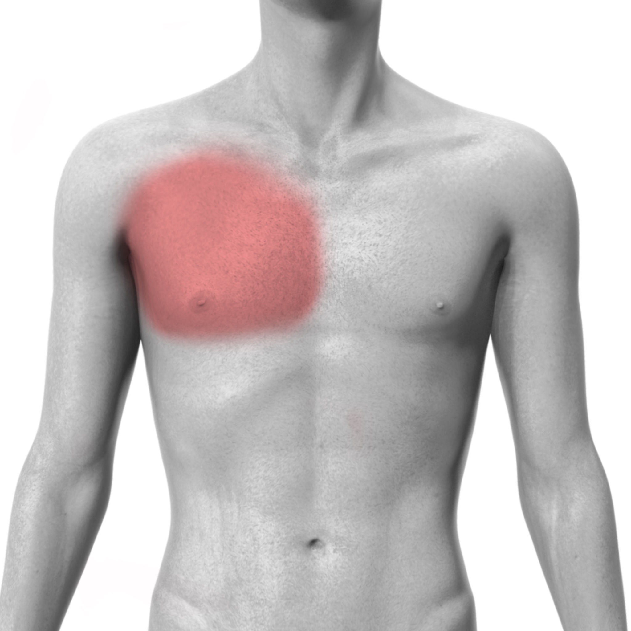 Right Chest