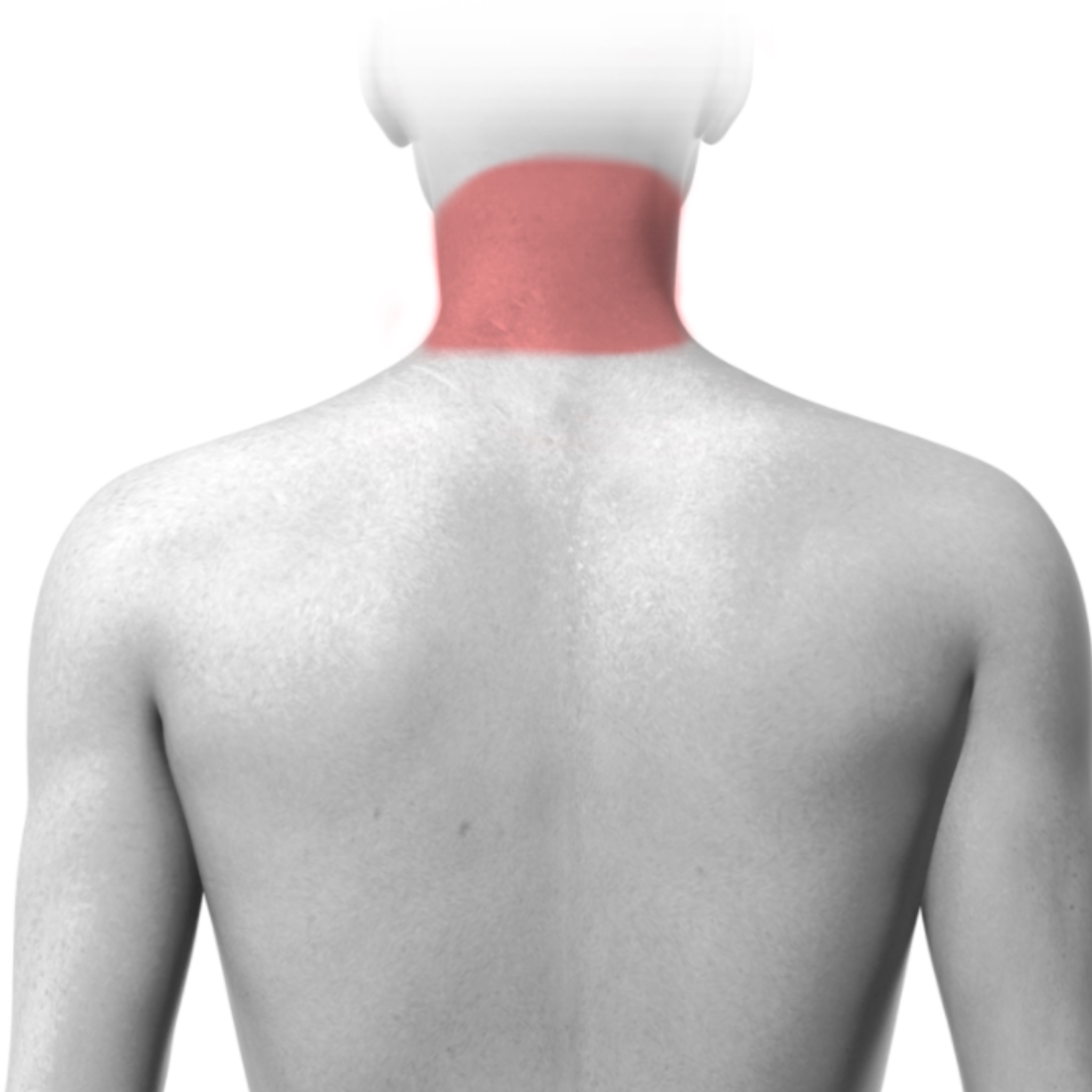 Back of Neck