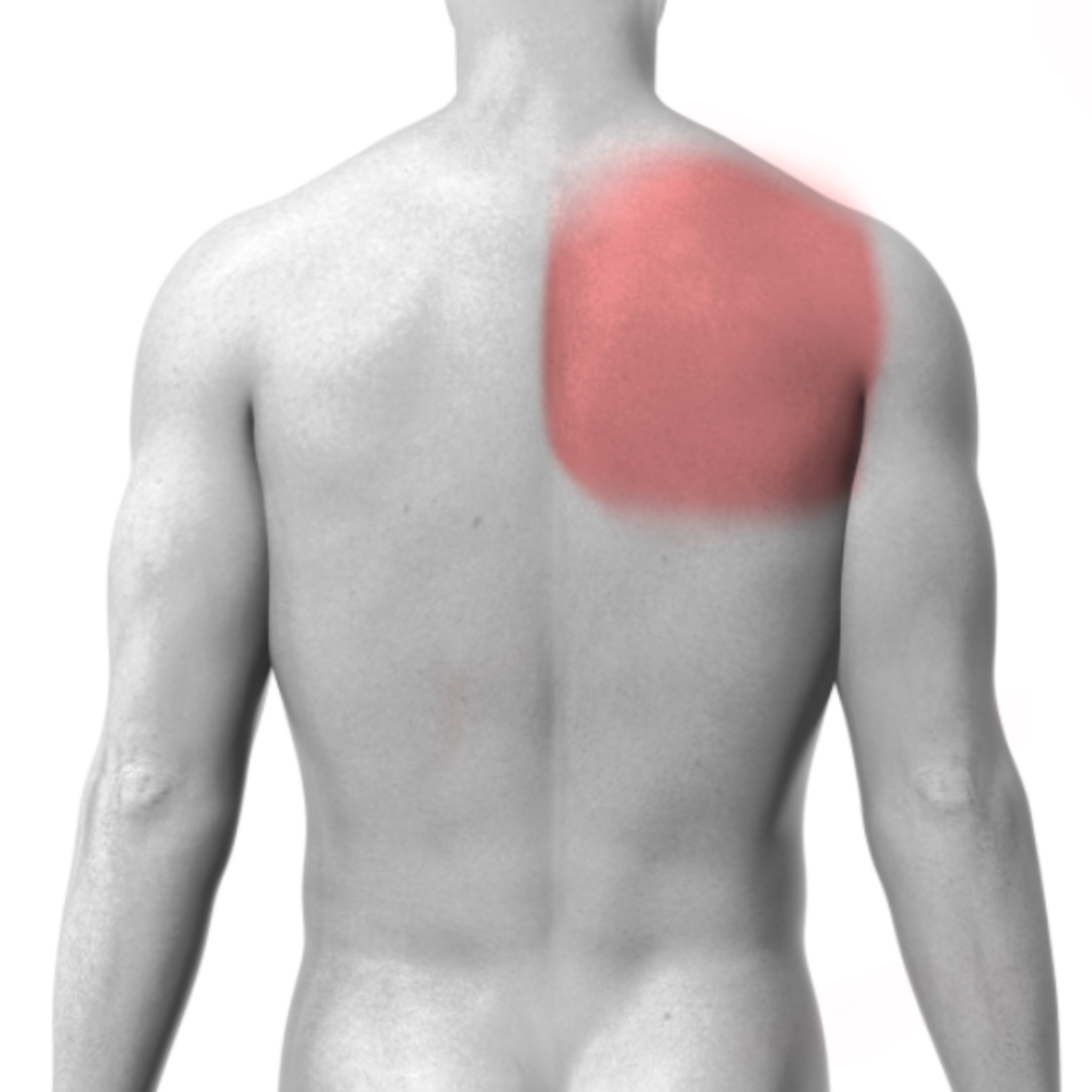 Right Upper Back
