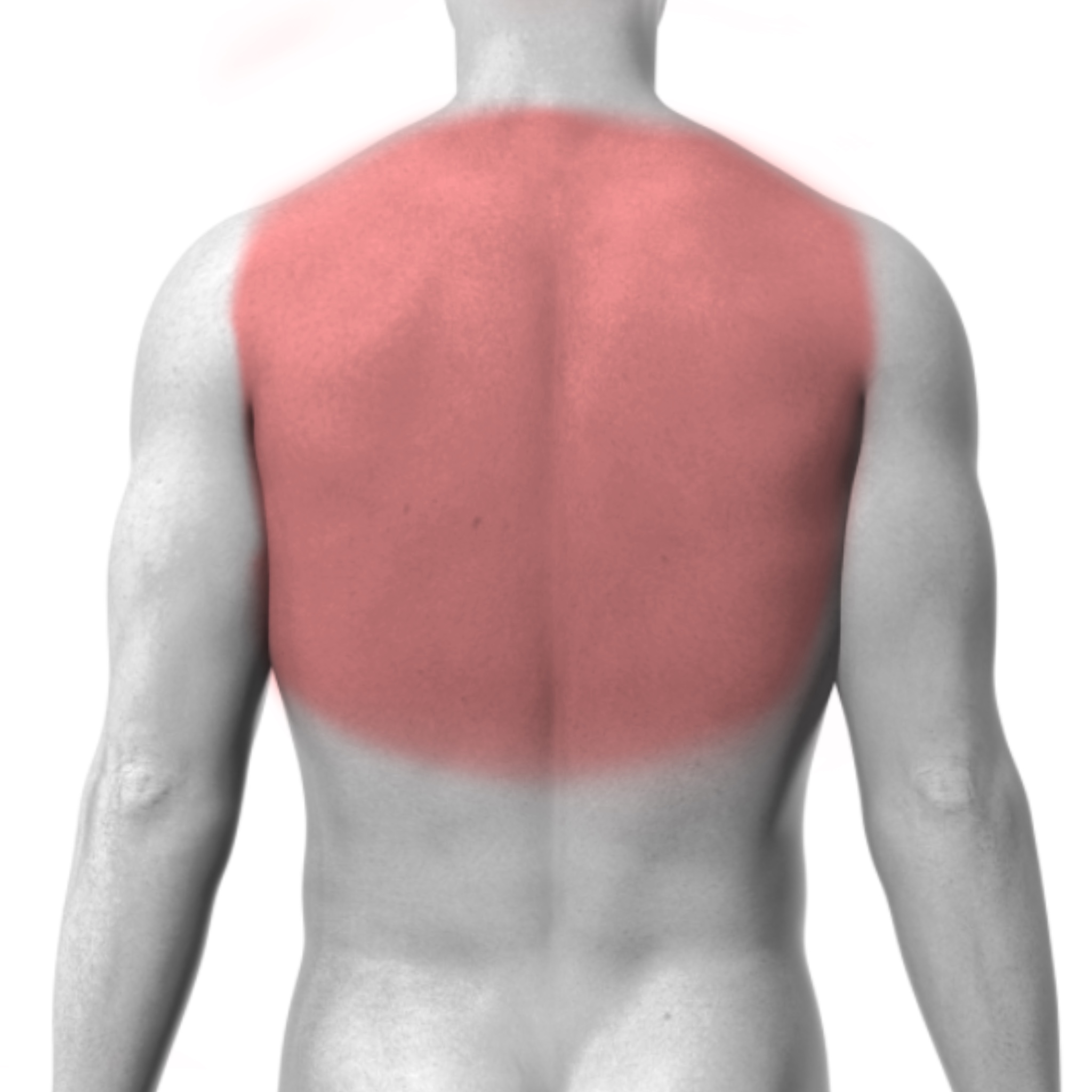 Upper Back