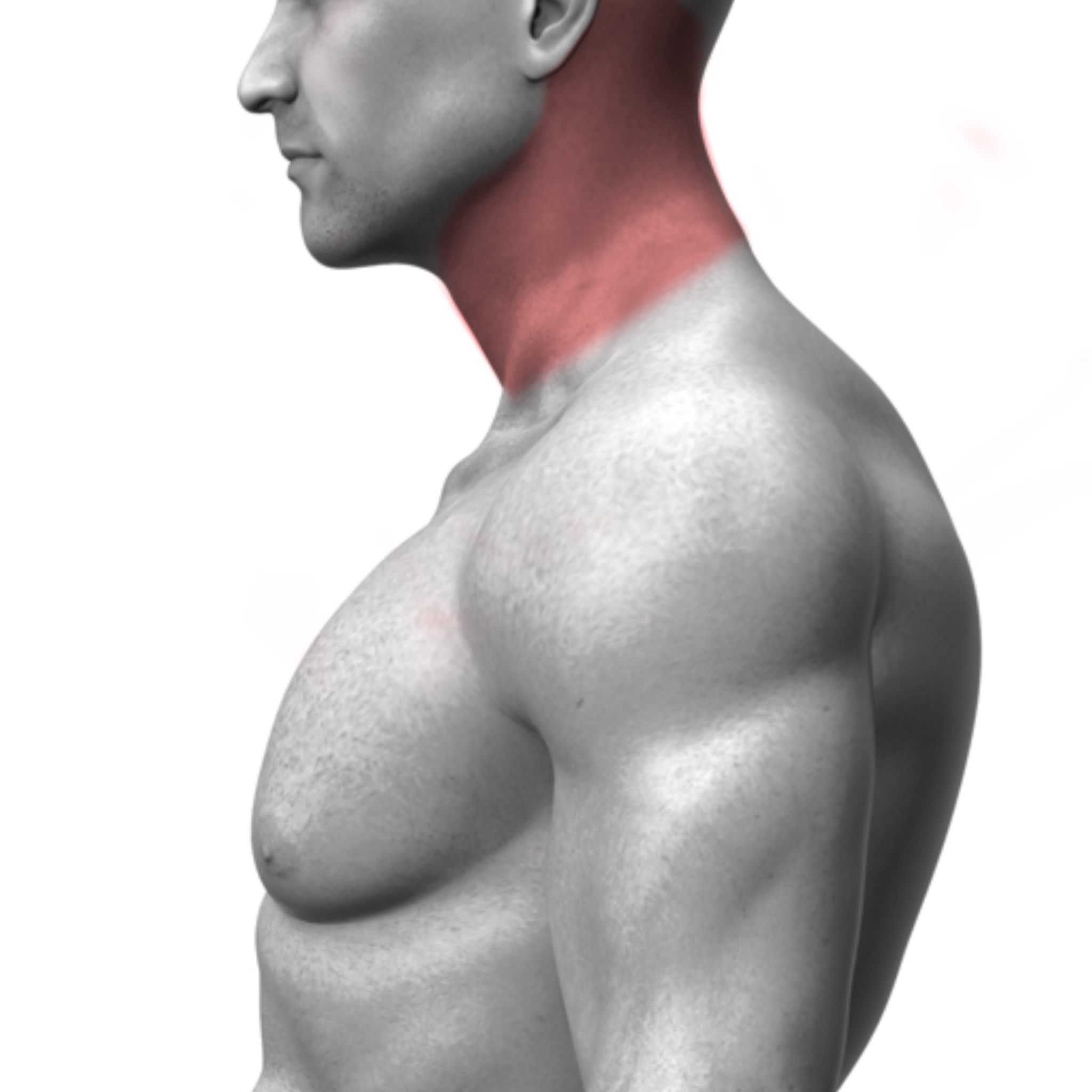 Side Neck