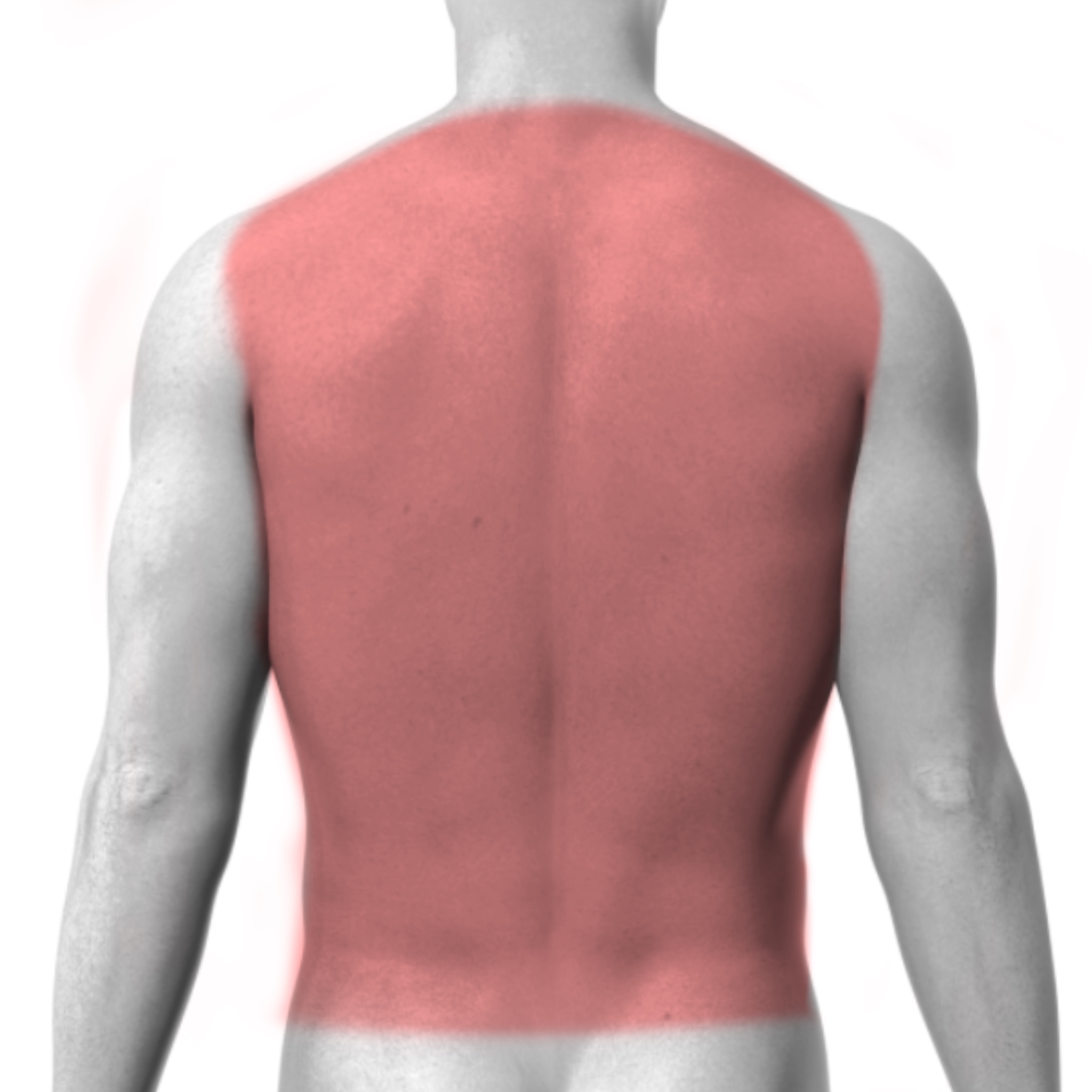 Full Back