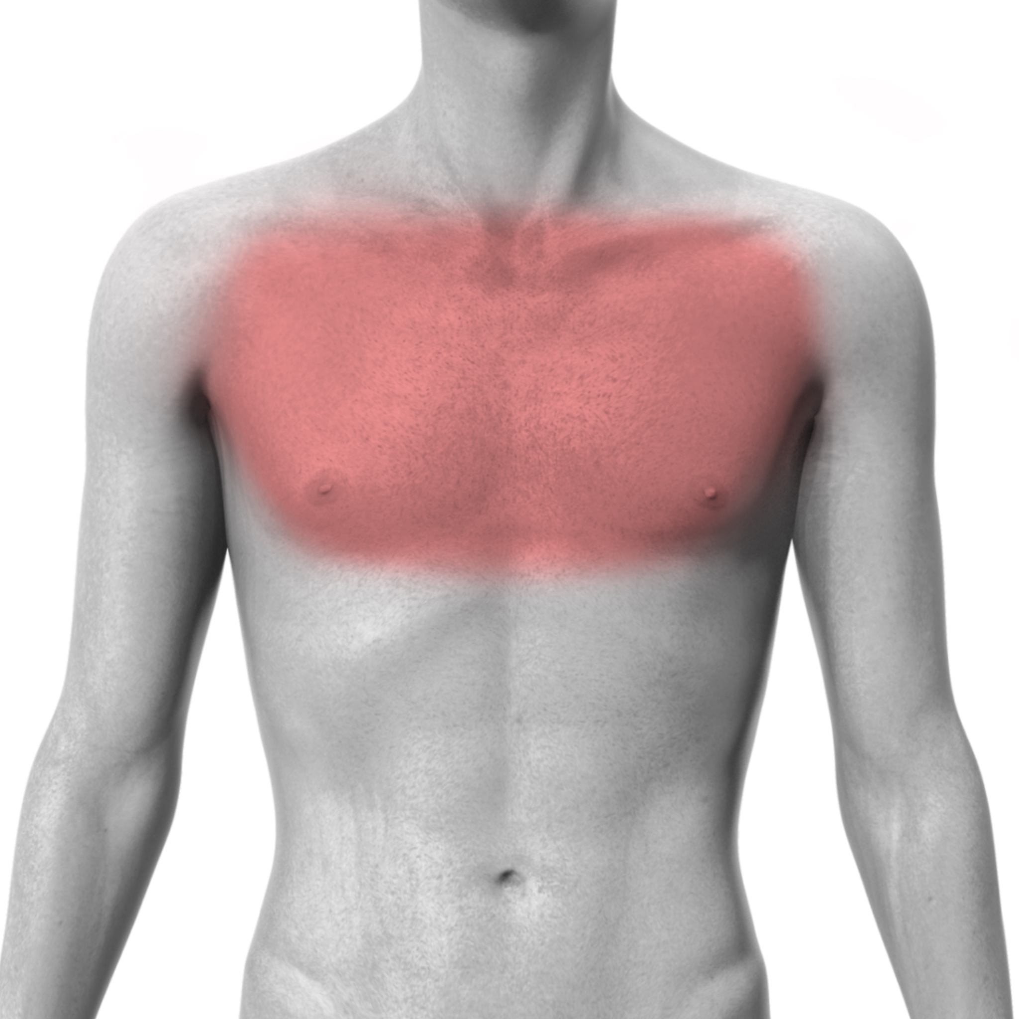 Full Chest
